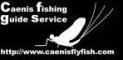 Caenis fishing guide service.